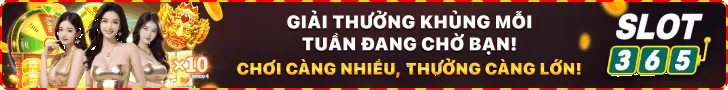 Minh họa các loại cookie khác nhau được zt9398 sử dụng để tối ưu trải nghiệm cá cược, bao gồm cookie thiết yếu, hiệu suất và quảng cáo.